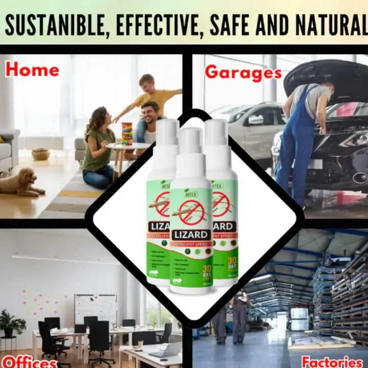 Lizard Repellent Spray (Buy 1 Get 2 Free)