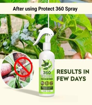 Organic Neem Oil Plant Spray (Buy 1 Get 1 Free)