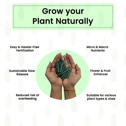 Plant Food Sticks - All-Purpose Plant Nutrition