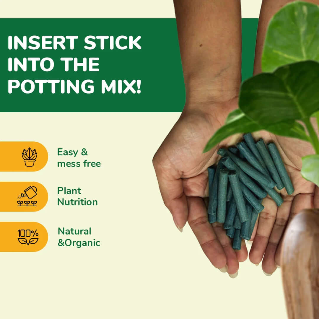 Plant Food Sticks - All-Purpose Plant Nutrition