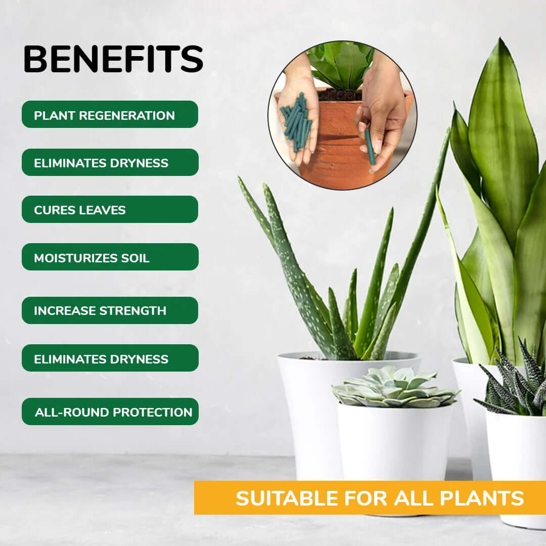 Plant Food Sticks - All-Purpose Plant Nutrition