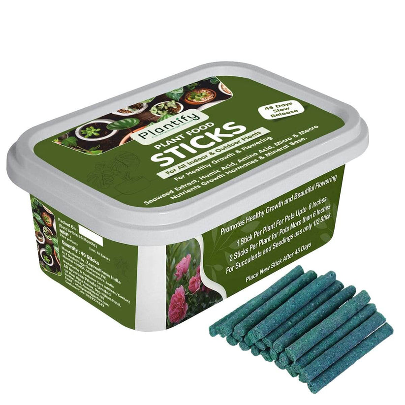 Plant Food Sticks - All-Purpose Plant Nutrition – first panda
